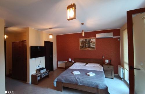 Shiligarnika Apartment | Studio D06, Green Life Bansko