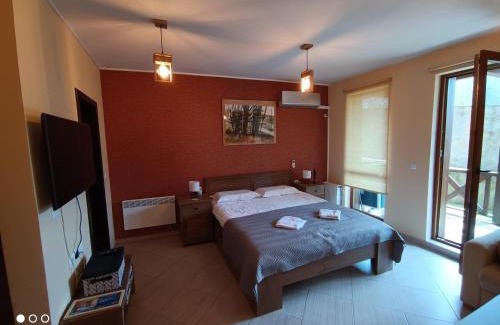 Shiligarnika Apartment | Studio D06, Green Life Bansko