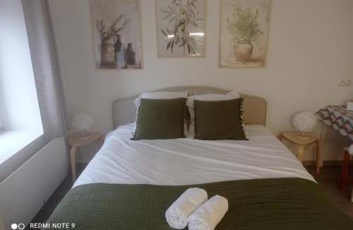 Strasbourg Apartment | Studio de Charme avec Jacuzzi - Escapade Relaxante
