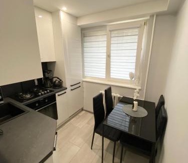 Panevezys Apartment | Studio flat in Panevezys