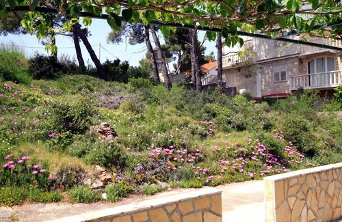 Cove Basina (Jelsa) Apartment | Studio flat near beach Basina, Hvar (AS-542-a)