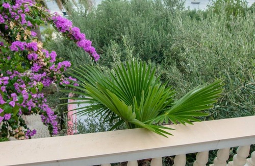 Rab Apartment | Studio flat near beach Barbat, Rab (AS-14884-a)