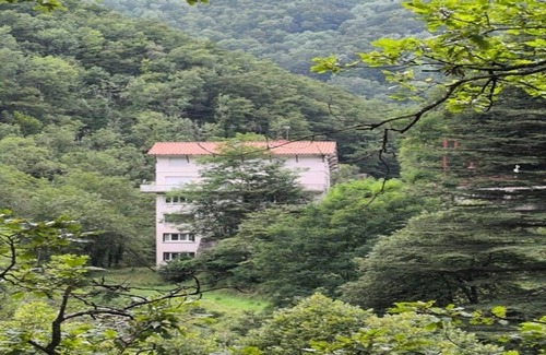 Les Bains de la Preste Apartment | Studio perched in the flora of the High Vallespir