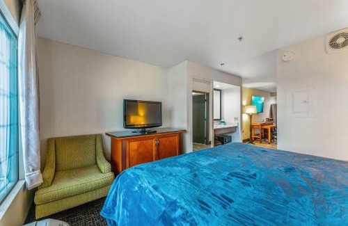 Tempe Apartment | Studio Full Kitchen Tempe Studio w pool, jacuzzi, gym perfect location No Pets allowed please