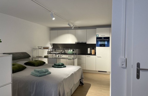Uster District Apartment | Studio Gocki: by the forest and close to Zurich