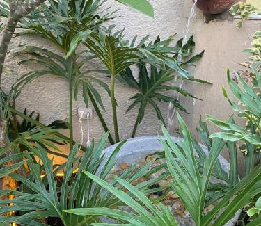 Caicaras House | Studio-House with Tropical Garden