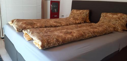 Ems Apartment | Studio in Domat Ems