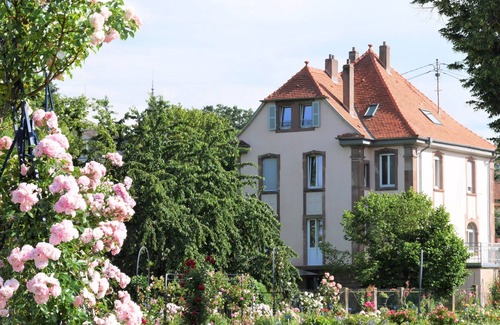 Saverne Apartment | Studio in house with garden