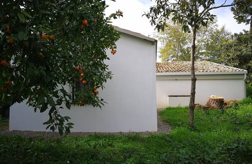 San Pietro a Maida House | Studio in Maida with Pool and Garden