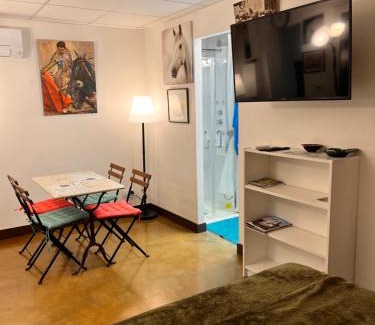 Aigues-Mortes Medieval City Apartment | Studio indépendant, patio, intra-muros , clim, parking