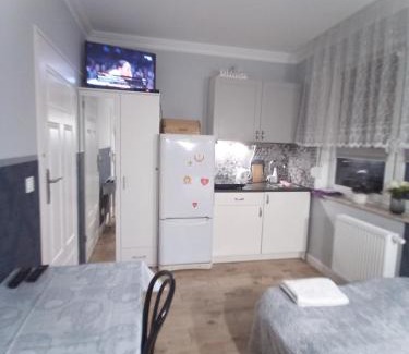 Fabryczna Apartment | Studio Jutrzenka z łazienką by Apartamenty na dni Wrocław