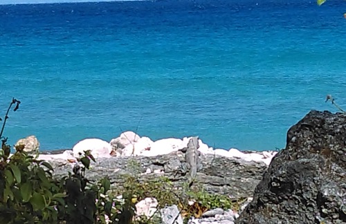 Cozumel Apartment | Studio Kin. Close to Beaches, diving and Island Attractions. Paradise found.