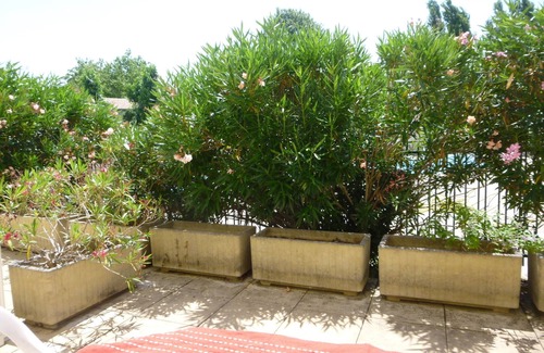 La Rochelle Apartment | STUDIO LA ROCHELLE TERRACE WITH POOL VIEW, PARKING, NEAR MINIMES BEACH
