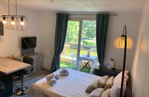 Barcelonnette Apartment | Studio les mélèzes vue montagne Barcelonnette