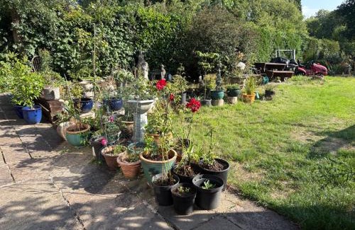 Cleedownton Apartment | Studio Lickey Hills Near Attractions Garden Pet Ok