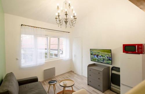 Issoire Apartment | Studio mezzanine "chaumiane" proche de la gare