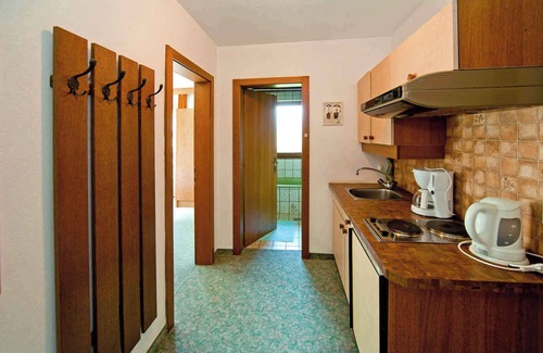 Hart im Zillertal Apartment | Studio mit Balkon
