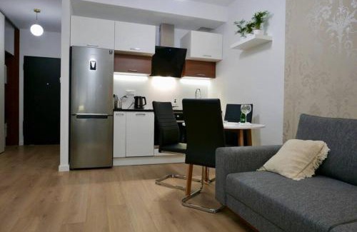 Wilanow Apartment | Studio nr 1 close to Medicover and Paley Institute