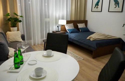 Wilanow Apartment | Studio nr 1 close to Medicover and Paley Institute