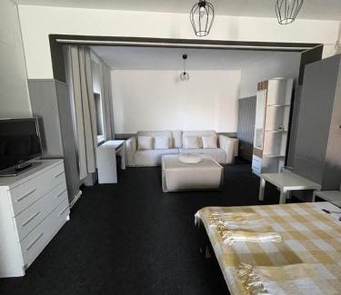 Ramnicu Valcea Apartment | Studio Rm Vâlcea
