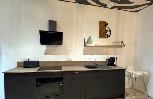 Seigy Apartment | Studio Savane, 6 min du Zoo