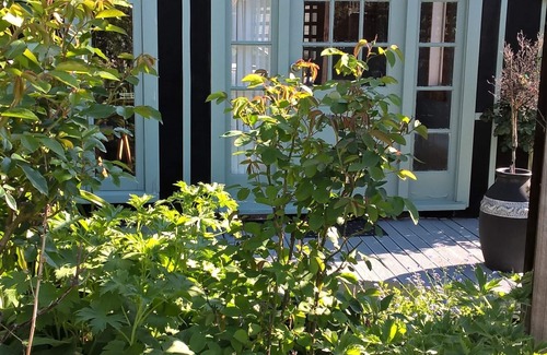 Greytown Cottage | Studio set in beautiful english cottage gardens