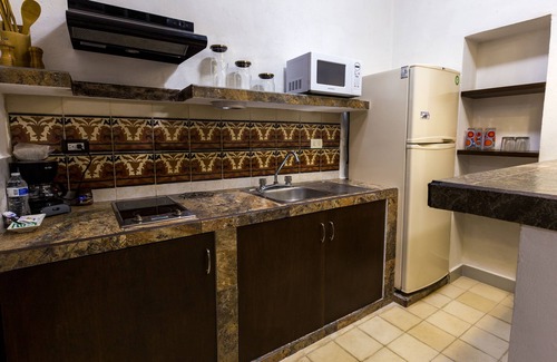 Centro Apartment | Studio w/shared plunge pool, Netflix, etc. .9 mi. from central sq.