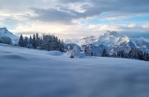 Villars-sur-Ollon Apartment | Studio with a real ski In/out