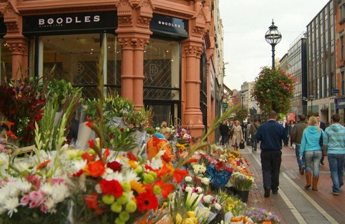 Dublin Apartment | Studio with a view over Dublin, walking distance to city & Dublin Zoo 10 min
