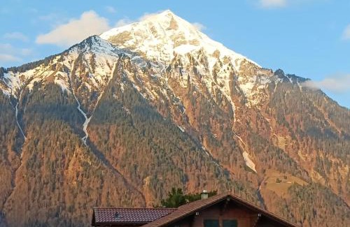 Aeschi bei Spiez Apartment | Studio with balcony, Niesen view & free parking near Interlaken, Thunersee & Blausee