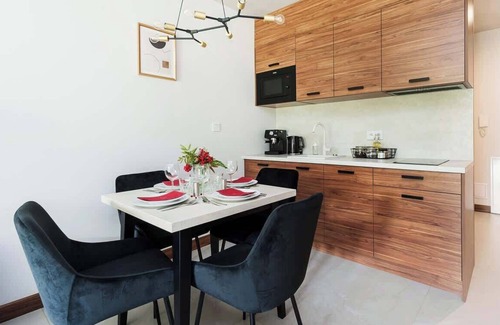 Koscielisko Apartment | Studio with Mountain View F06
