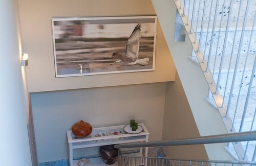 Cabo de Palos Apartment | Studio with two beds