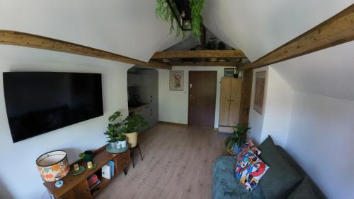 Srebrna Gora Apartment | Studio z widokiem na park
