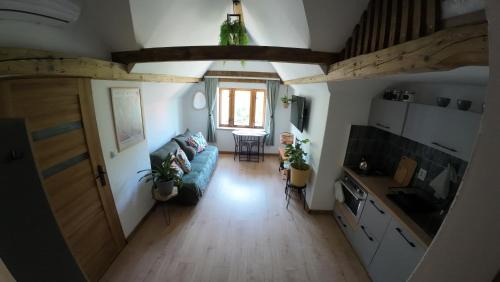 Srebrna Gora Apartment | Studio z widokiem na park