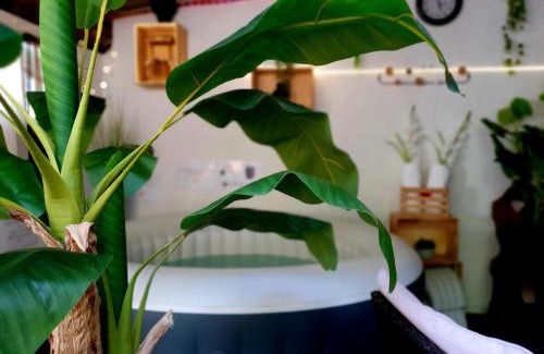 Draguignan Apartment | Studio19 Cosy Sauna Jacuzzi et jardinet privatifs