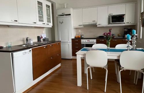 Lappeenranta Apartment | Studiohuoneisto Valtakatu 45, sauna, AC, WiFi