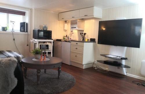 Andenes Apartment | Studioleilighet i kjeller ved stranden og hvalsenter NB Må vaskes etter endt leie eller betale rengjøringshjelpen 500 kr