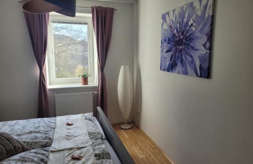Hinterbruhl Apartment | Studios Am Wienerwald