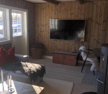 Hol Municipality House | Stugu - Koselig hytte med sentral beliggenhet