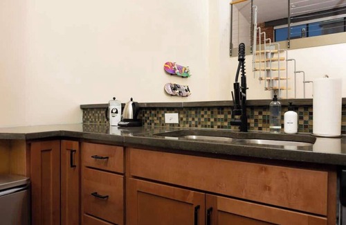Roanoke Apartment | Stunning 2BR loft in city center