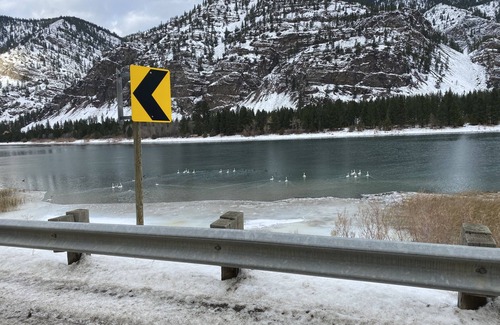 Thompson Falls RV Rental | Stunning 9.3 acres riverfront w electric- near Quinn’s Hotsprings!