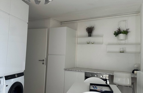 Puidoux Villa | Stunning APT with 360 ° panoramic view of lake Geneva and Alls in the vineyard