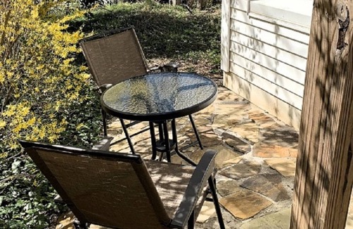 Winston - Salem Apartment | Stunning Downstairs Guest Suite w/Great Light