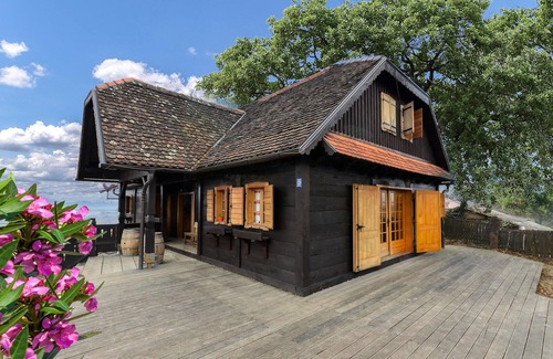 Breznik Plesivicki House | Stunning home in Jastrebarsko