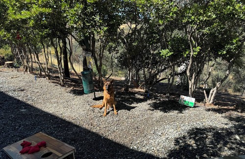 Red Bluff House | Stunning large 3-bedroom house in lovely Red Bluff with AC, WiFi