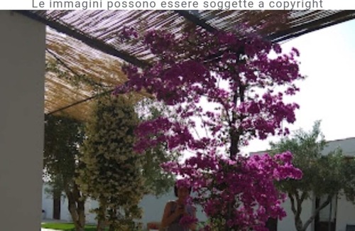 Rosa Marina Bed & Breakfast | Stunning room in ancient Masseria near the sea in a quiet olive trees.