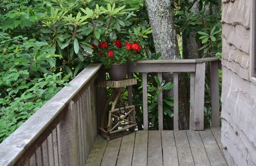 Roan Mountain Cabin | Stunning View, Secluded Luxury Treehouse, State Park Resort, Appalachian Trail