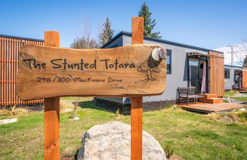 Twizel House | Stunted Totara, Unit 3