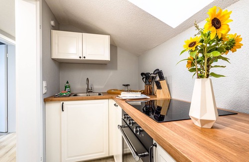 Titisee-Neustadt Apartment | stuub langenbach