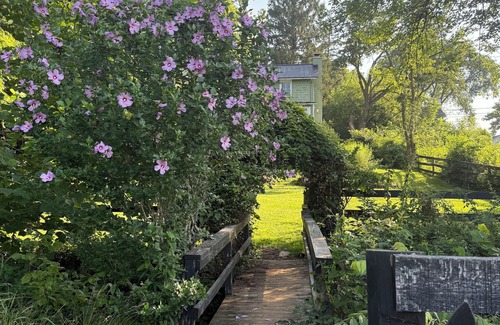 Bluemont Apartment | Stylish 1-bd/1-ba gardern apt within quaint Bluemont village, walk to wineries.